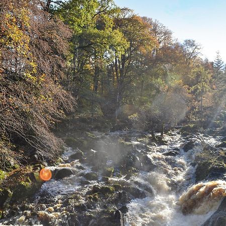 Toll Bridge Lodge Banchory Exteriör bild