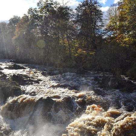 Toll Bridge Lodge Banchory Exteriör bild