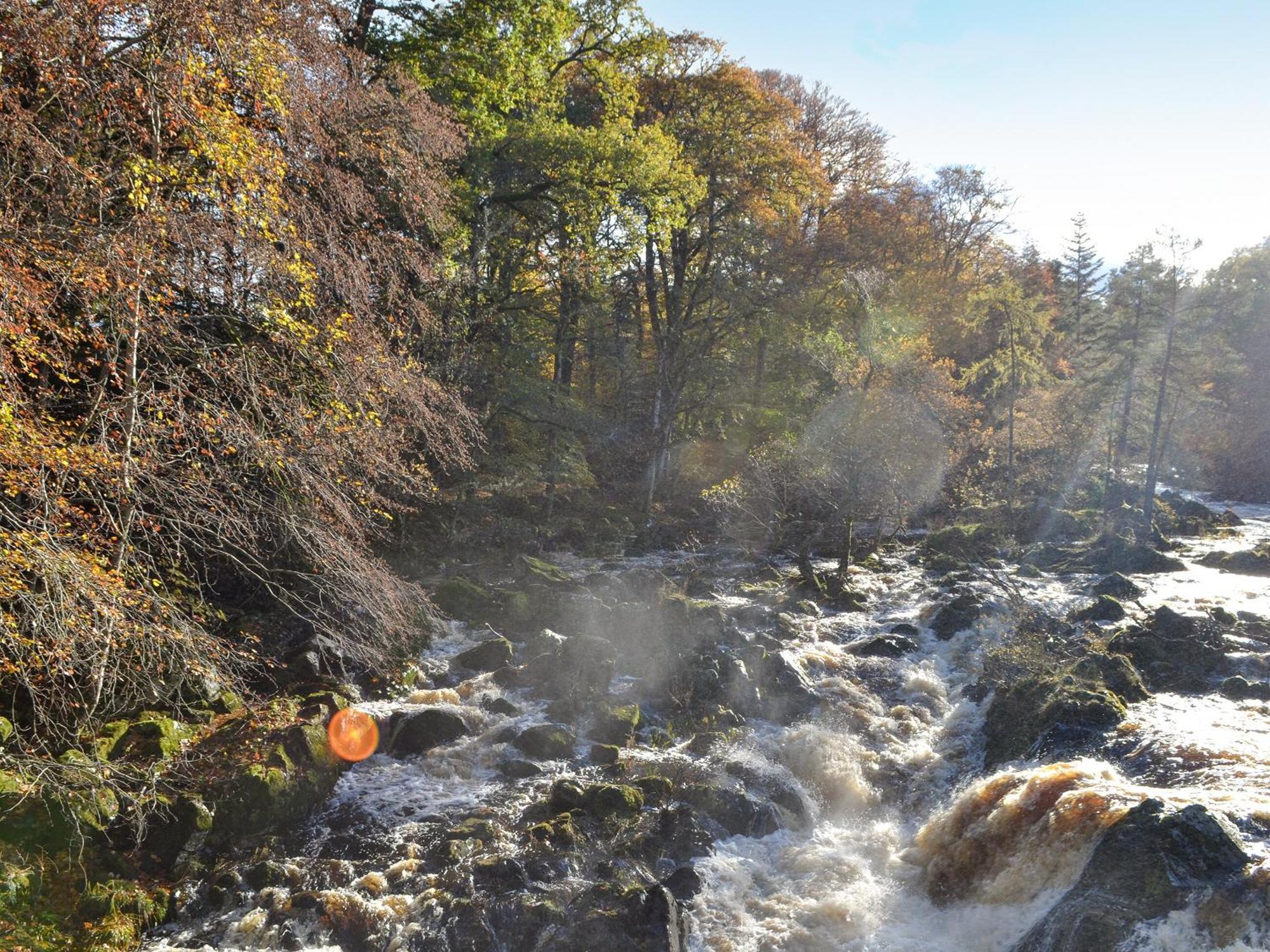 Toll Bridge Lodge Banchory Exteriör bild
