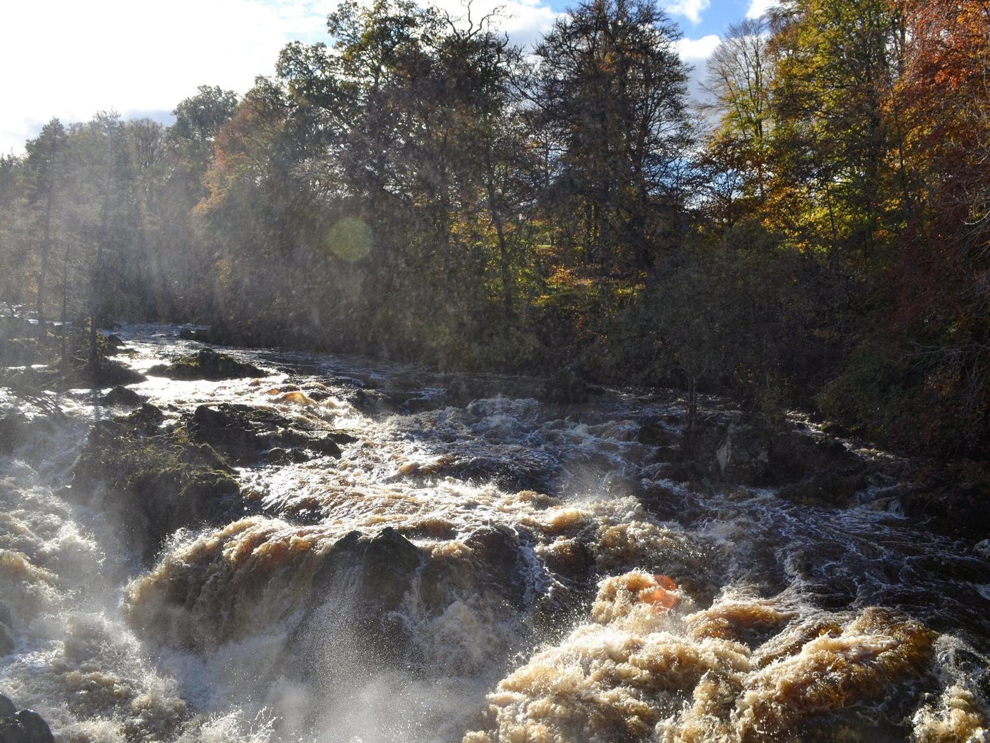 Toll Bridge Lodge Banchory Exteriör bild