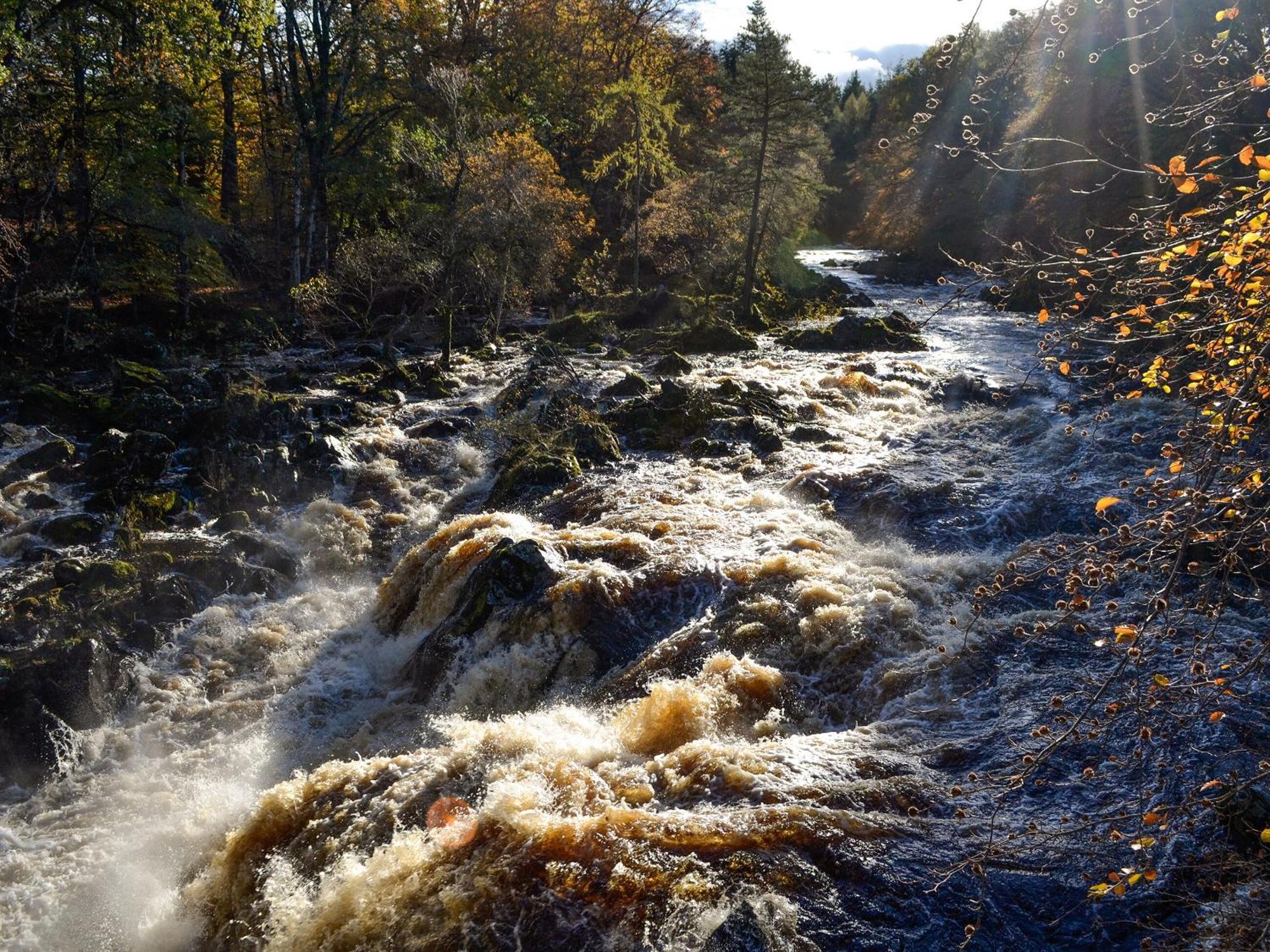 Toll Bridge Lodge Banchory Exteriör bild